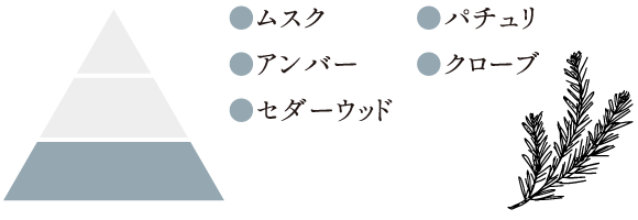 ムスク、アンバー、セダーウッド、パチュリ、クローブ