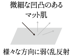 微細な凹凸のあるマット肌（光の反射状態：様々な方向に弱く乱反射）