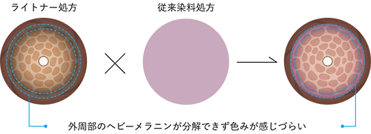 ライトナー処方と従来染料処方の結果、外周部のヘビーメラニンが分解できず色みが感じづらい