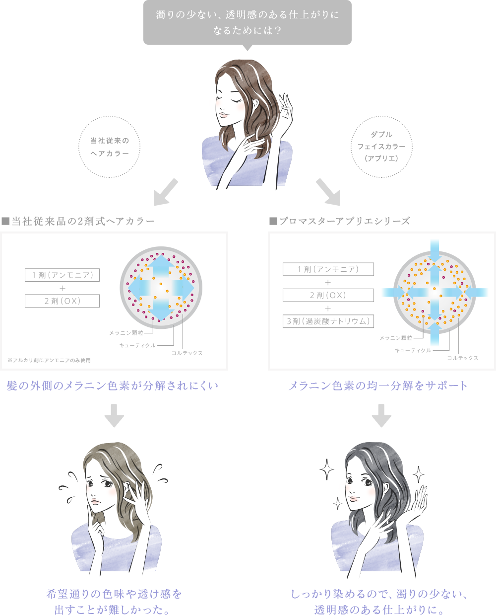 従来のヘアカラー ダブルフェイスカラー