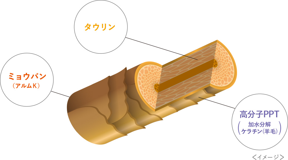 軟化抑制の図