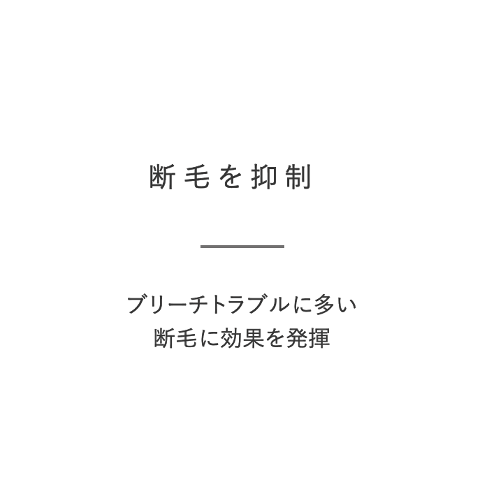 断毛を抑制 ブリーチトラブルに多い断毛に効果を発揮